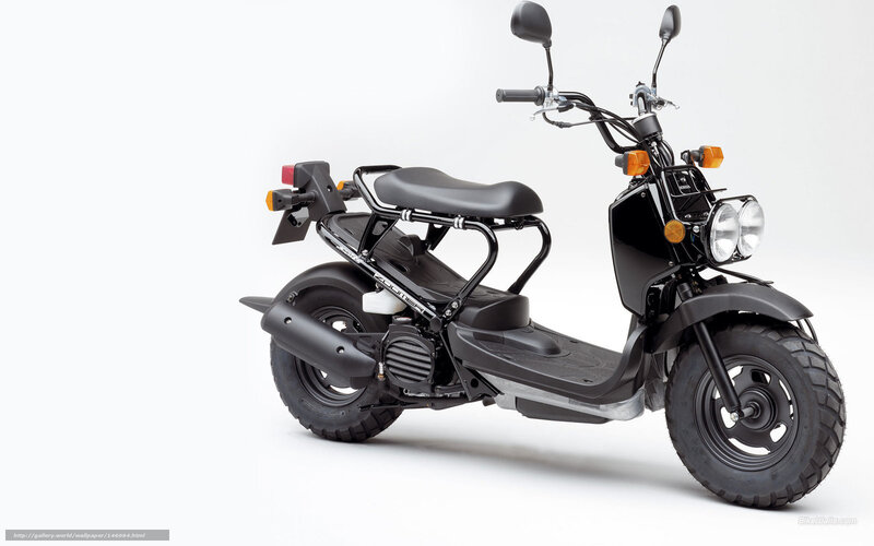 Black Scooter — Neutral, Photograph, Seat, Headlight, Mirrors