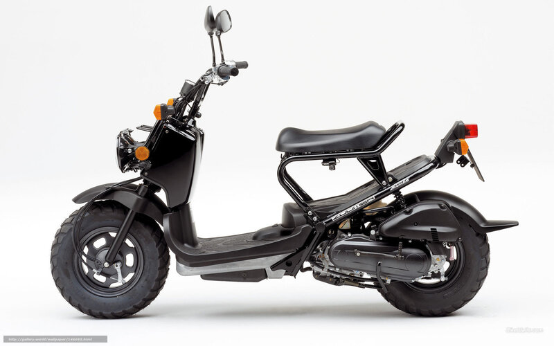 Black Scooter — Neutral, Photograph, Seat, Mirrors, Headlight