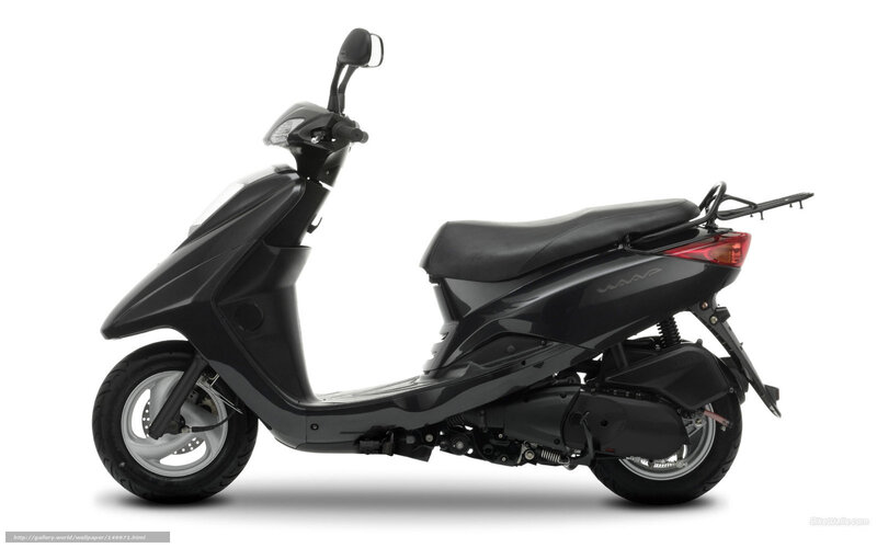 Black Scooter — Neutral, Photograph, Seat, Rear Rack