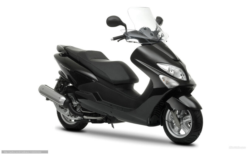 Black Scooter — Neutral, Photograph, Windshield, Exhaust Pipe, Side Mirror