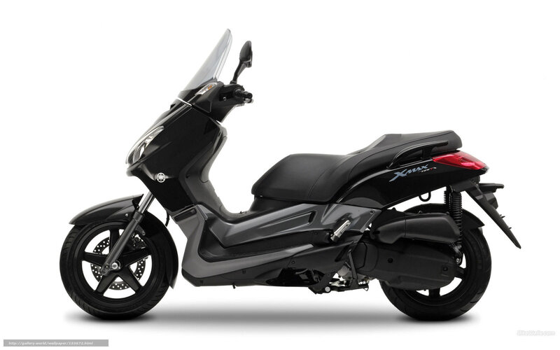 Black Scooter — Neutral, Photograph, Windshield, Seat, Tail Light