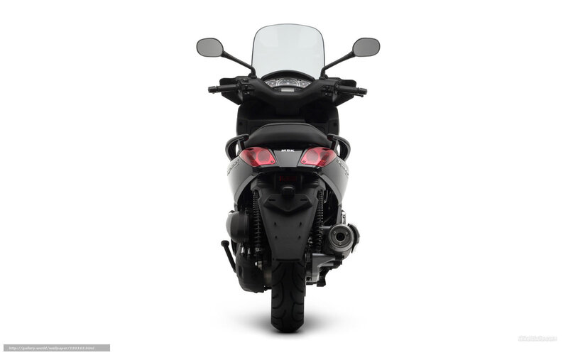 Black Scooter Rear View — Neutral, Photograph, Rear Lights, Windshield