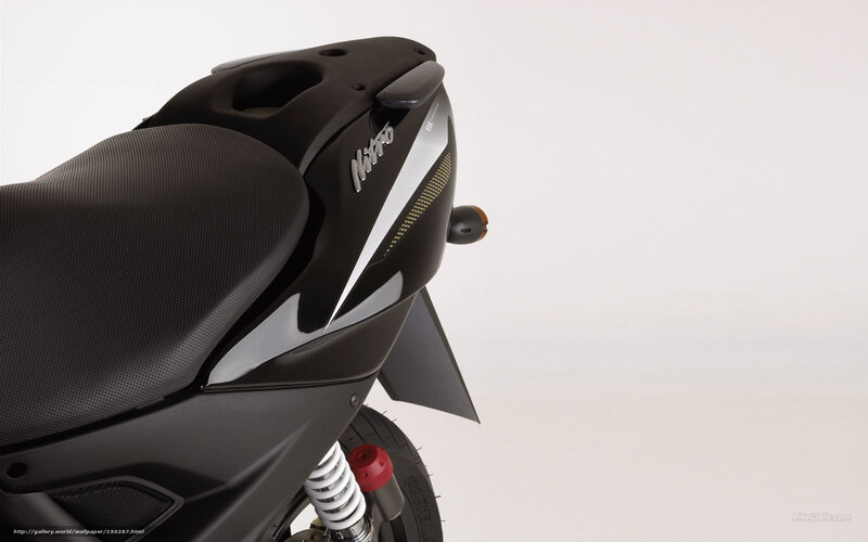 Black Scooter Rear View — Neutral, Photograph, Seat