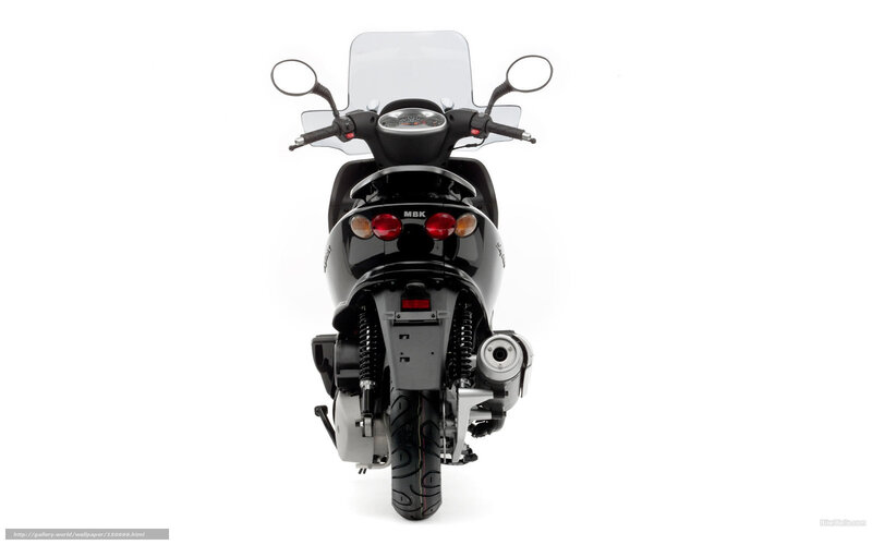 Black Scooter Rear View — Neutral, Photograph