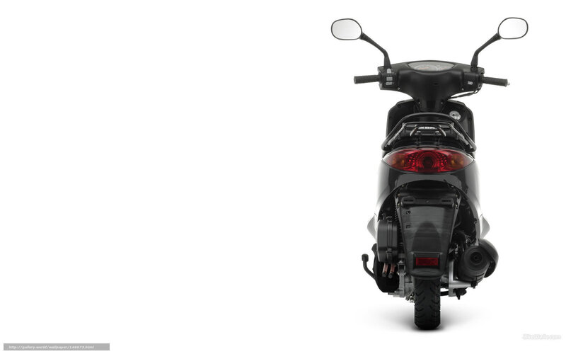 Black Scooter Rear View — Neutral