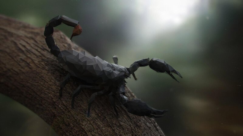 Black Scorpion on Branch — Natural