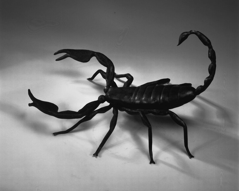 Black Scorpion Sculpture