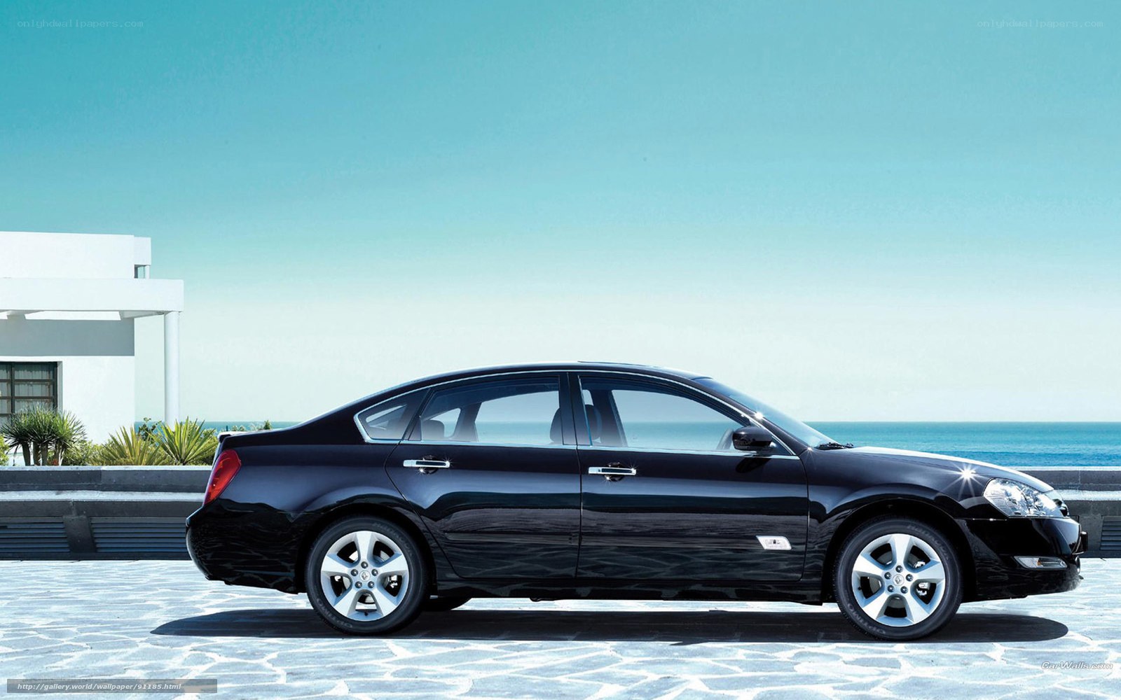 Black sedan by the sea