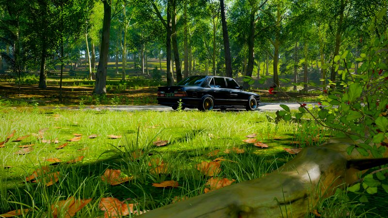 Black Sedan in Forest — Green