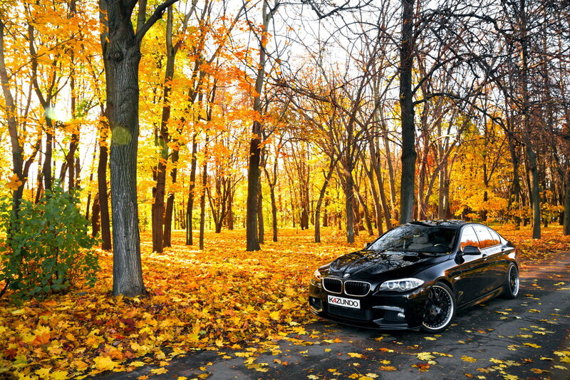 Black Sedan in Forest — Yellow