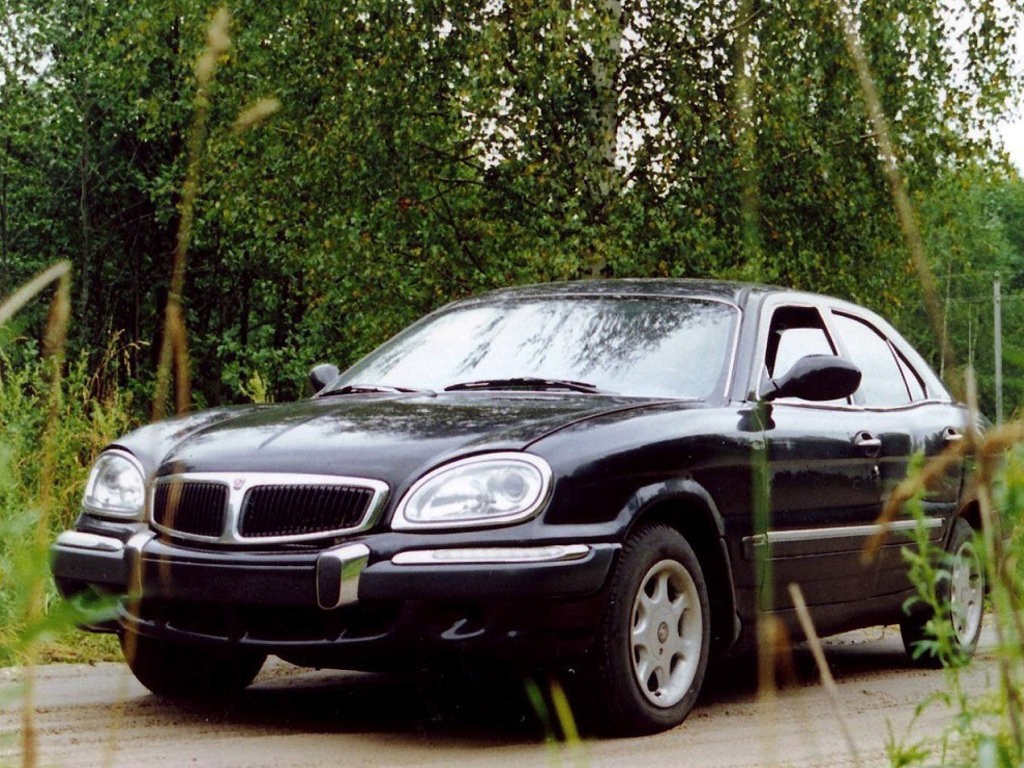 black sedan in forest
