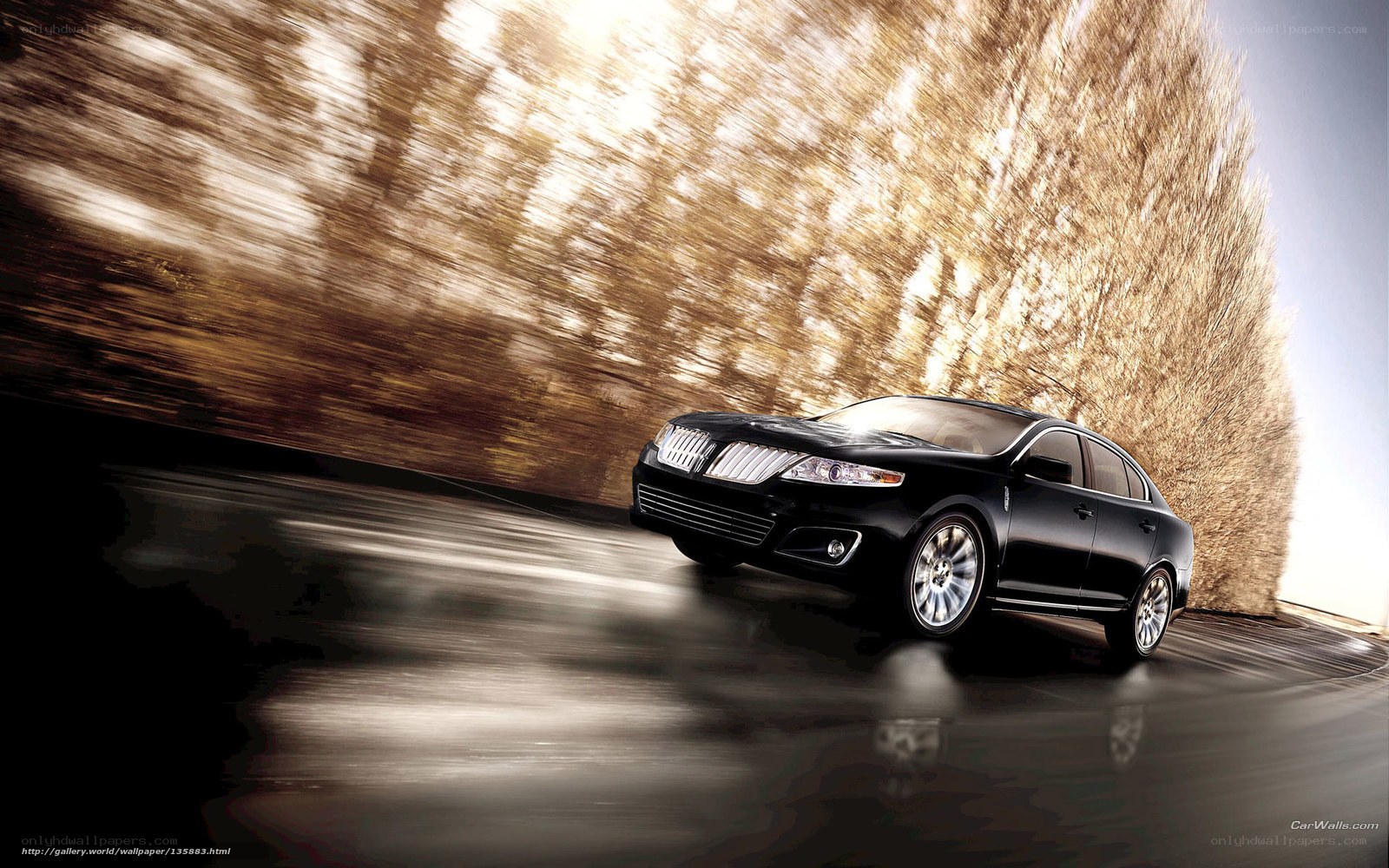 Black sedan in motion on road