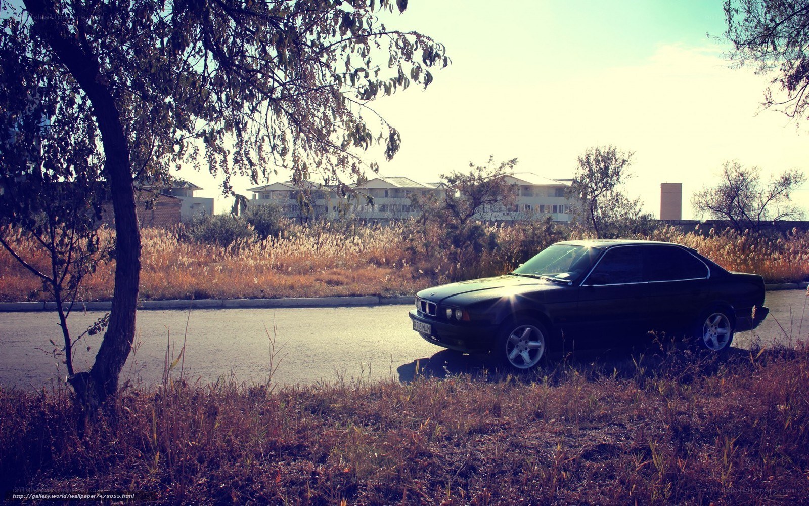 Black sedan on a quiet road