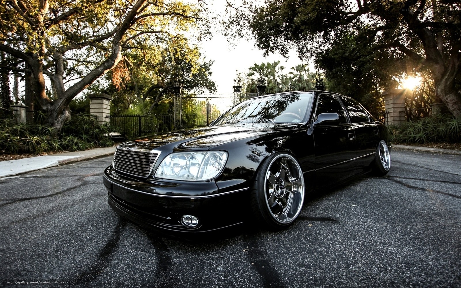 black sedan on a tree-lined street