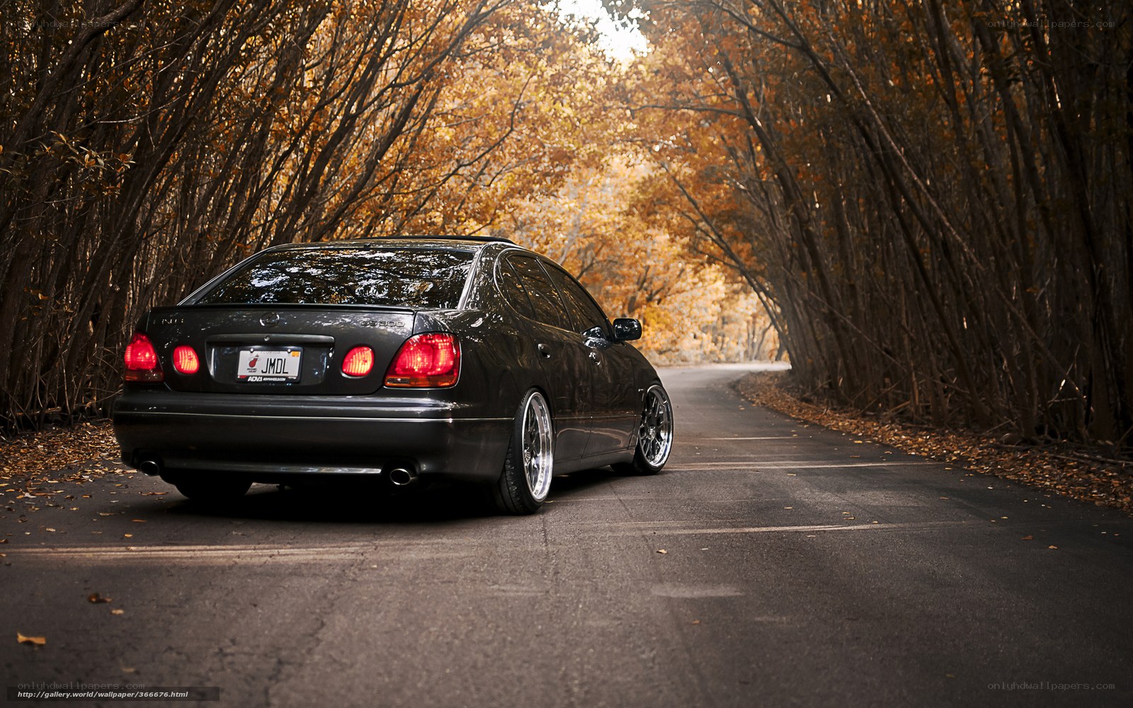 Black sedan on autumn road