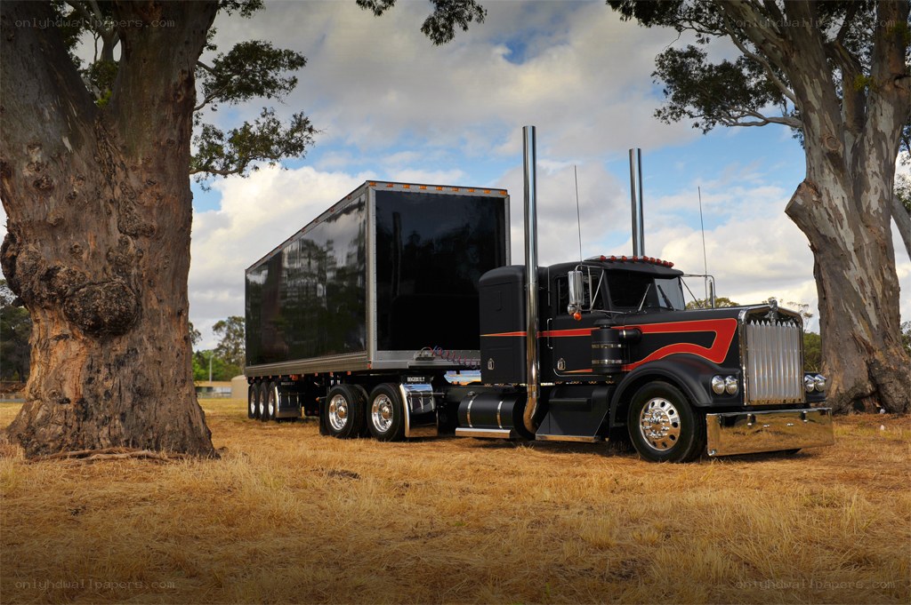 black semi-truck in field