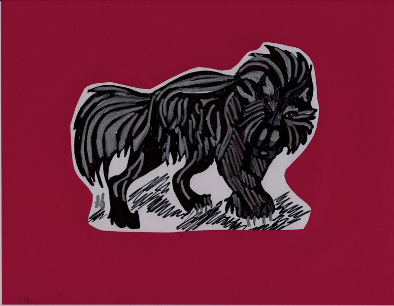 Black Shaggy Dog — Red