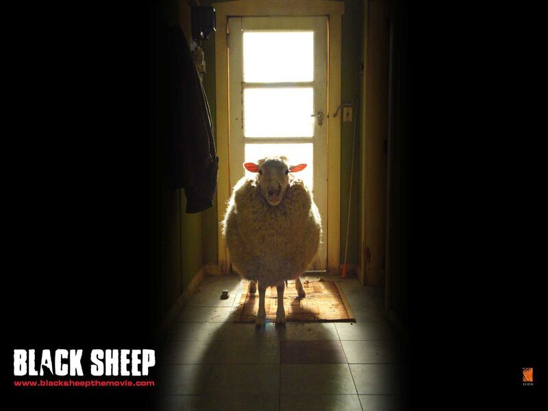 Black Sheep movie poster