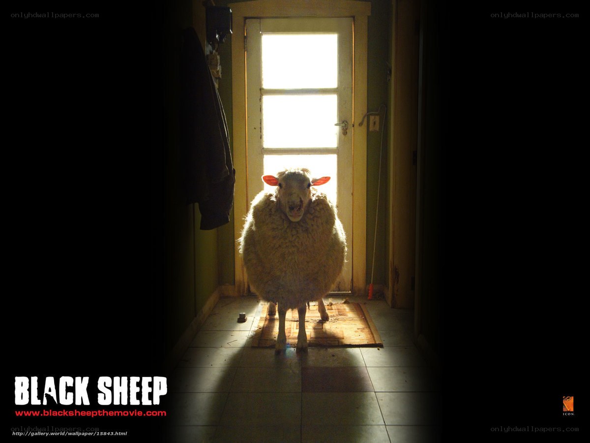black sheep movie poster