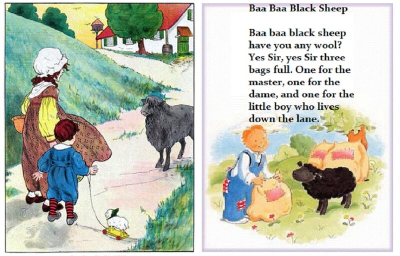 Black Sheep on Path