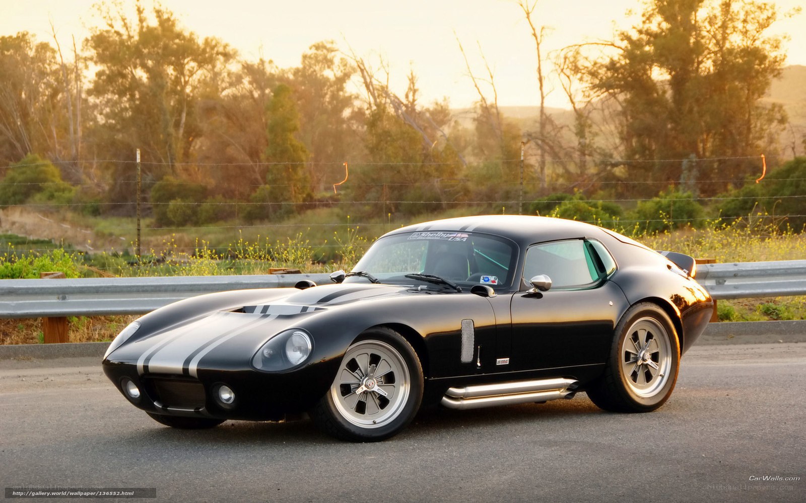 Black Shelby Cobra on a road