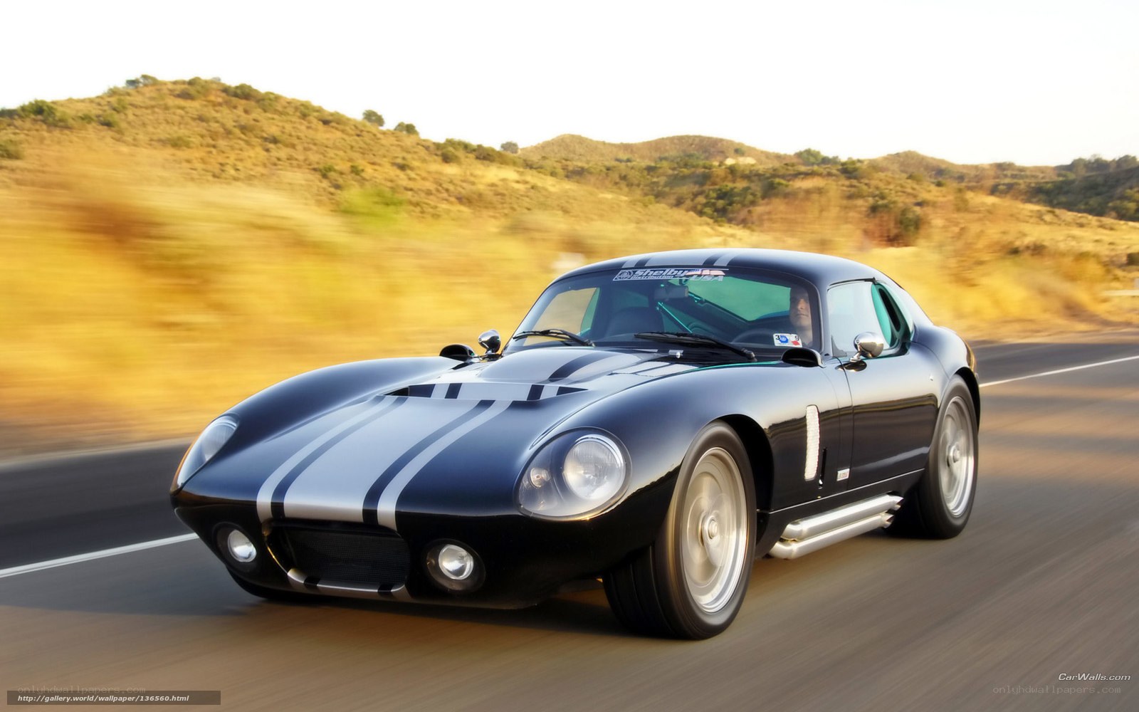 Black Shelby Cobra on road