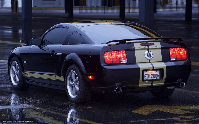 Black Shelby GT-H Mustang — Dramatic, Night