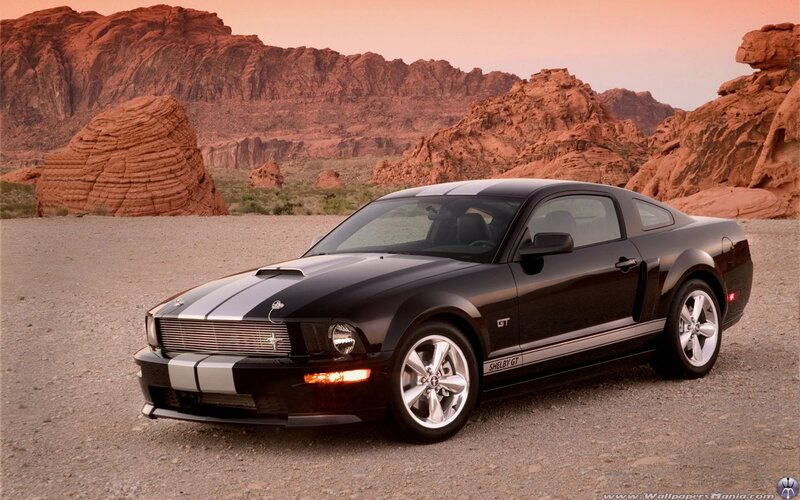 Black Shelby GT in desert
