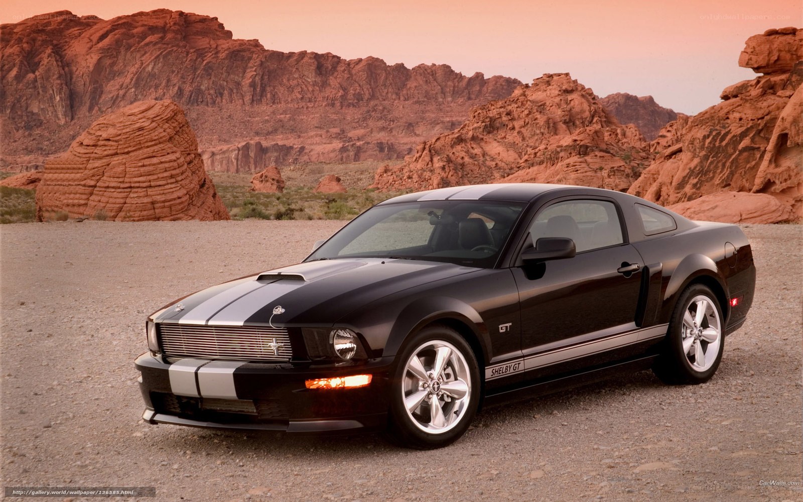 Black Shelby GT in desert