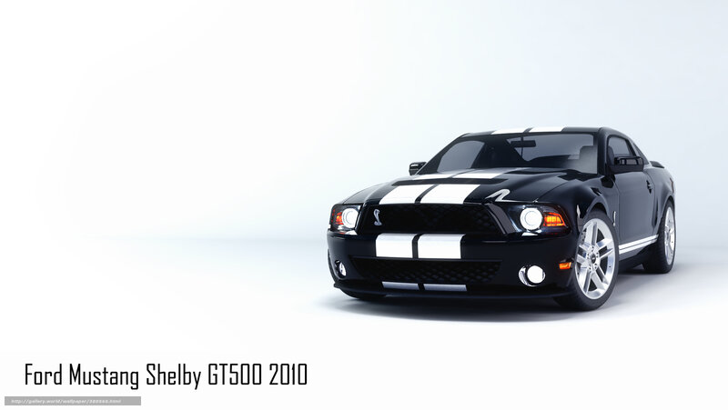 Black Shelby GT500 Car — Neutral