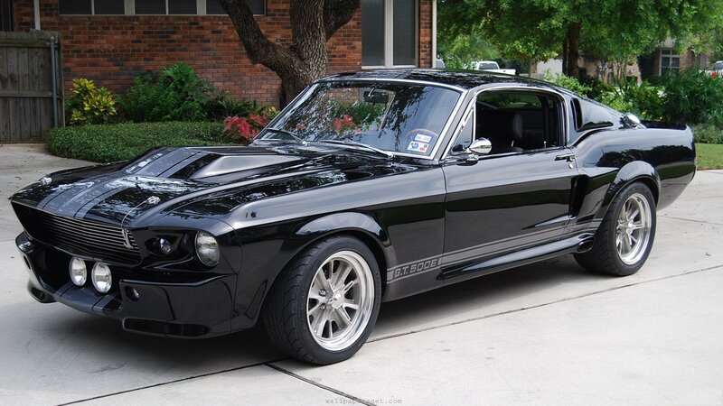 Black Shelby GT500 classic car