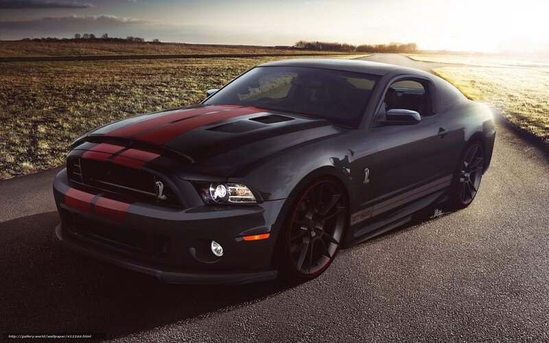 Black Shelby GT500 on country road