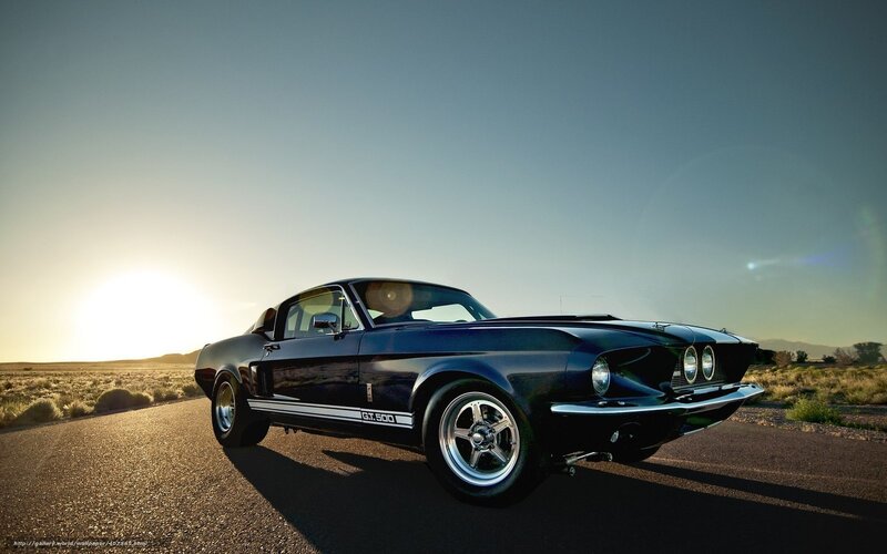 Black Shelby GT500 on desert road