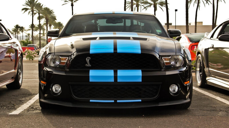 Black Shelby Mustang — Calm, Afternoon