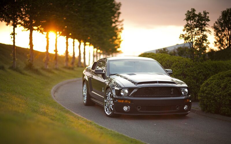Black Shelby Mustang on a winding road