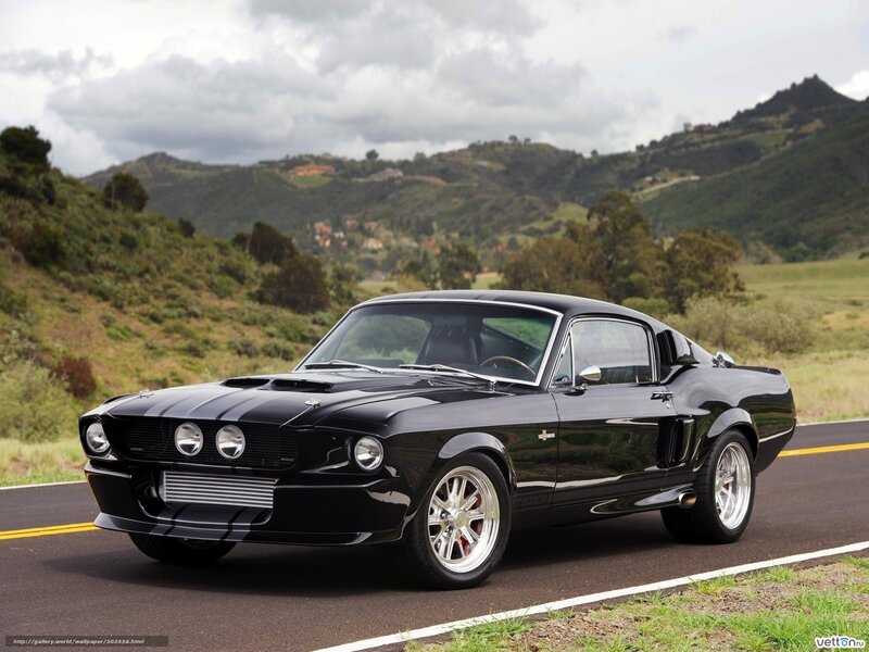 Black Shelby Mustang on road