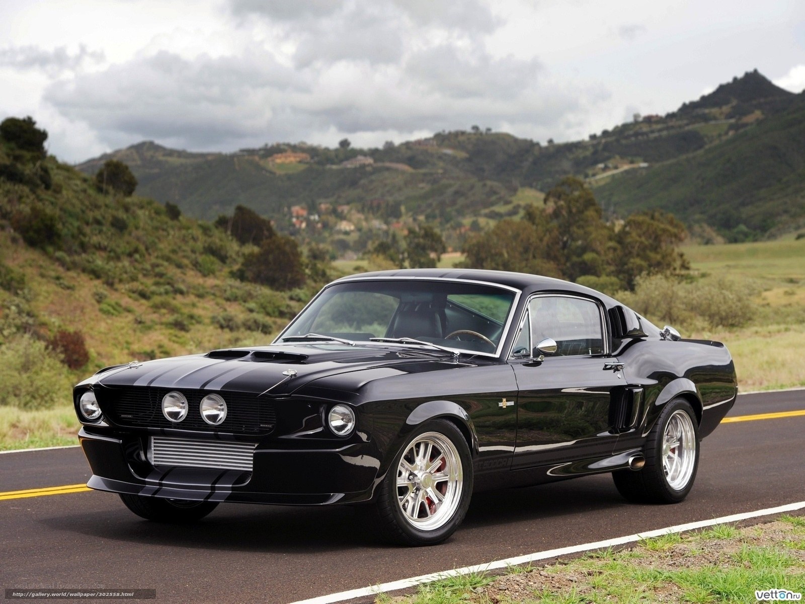 Black Shelby Mustang on road