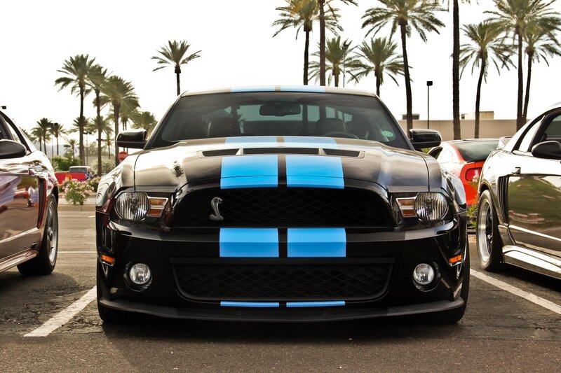 Black Shelby Mustang with blue stripes