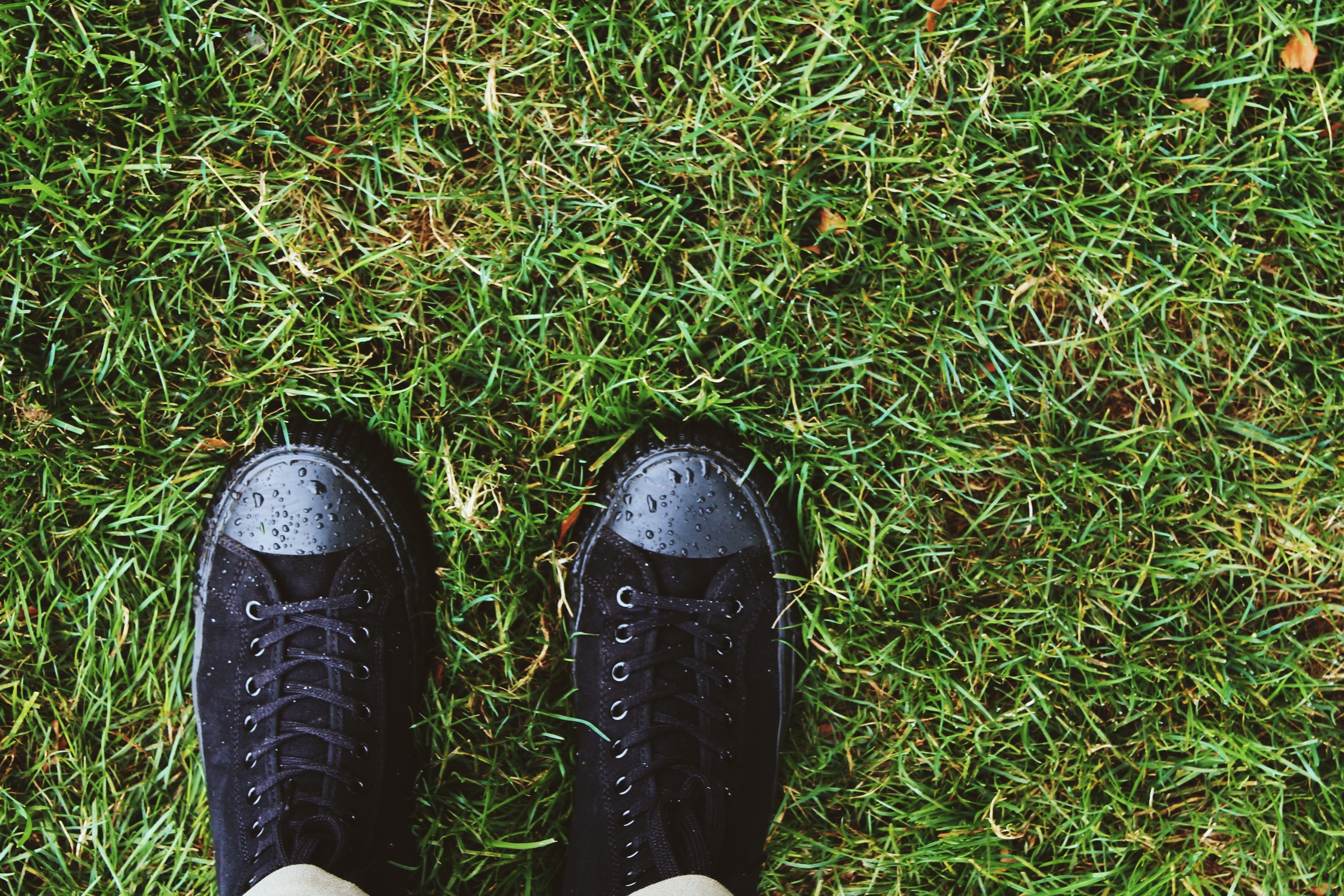 black shoes on wet grass