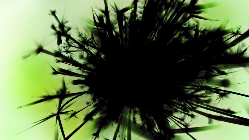 black silhouette of a dandelion