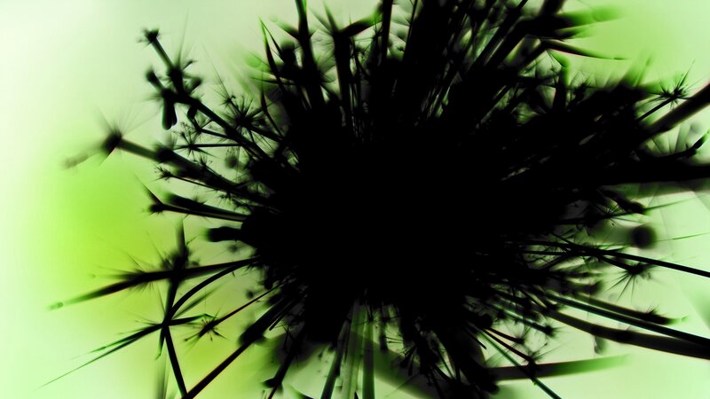 black silhouette of dandelion