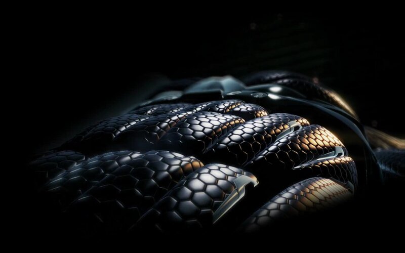 Black Snake Scales