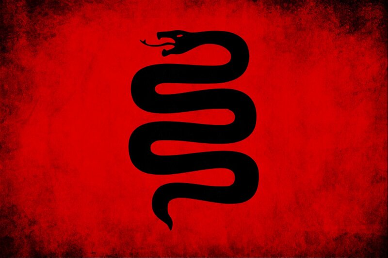 Black Snake Silhouette