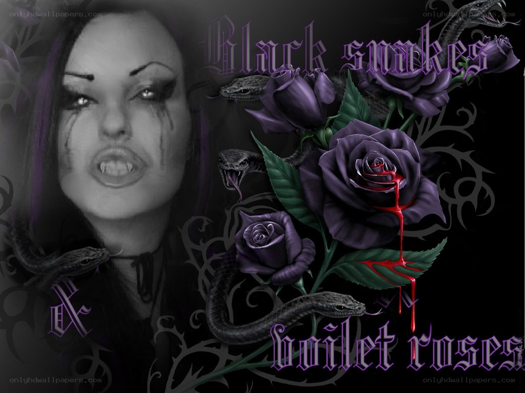 black snakes and violet roses
