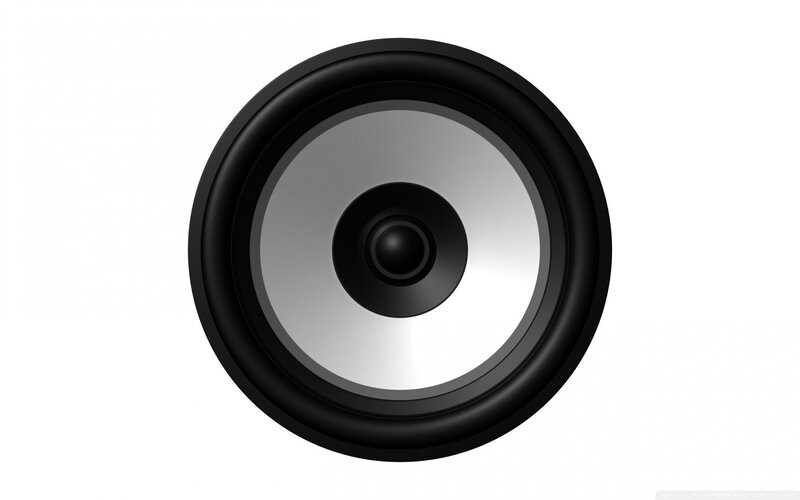Black Speaker Driver