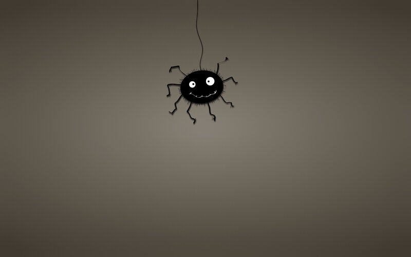 Black Spider Hanging