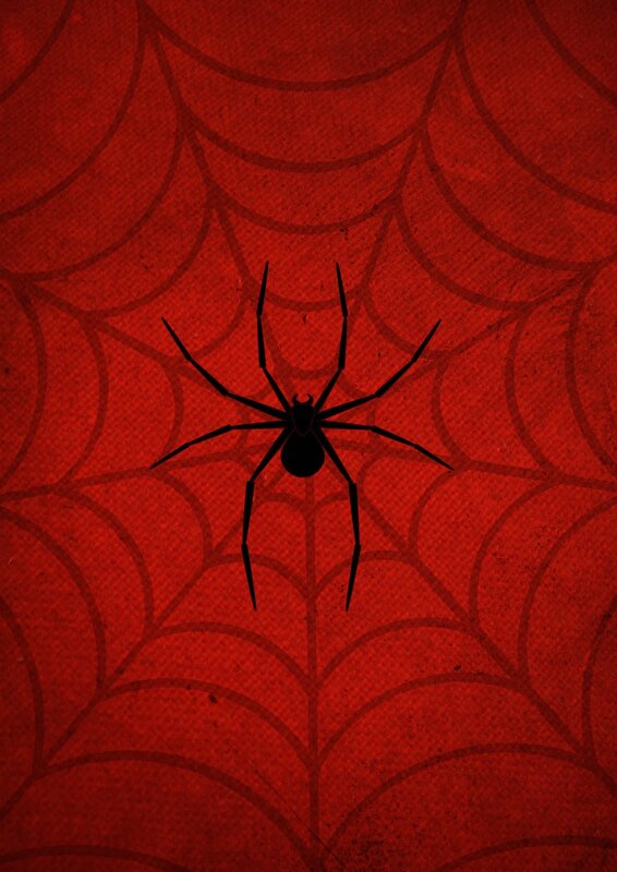 black spider on red web