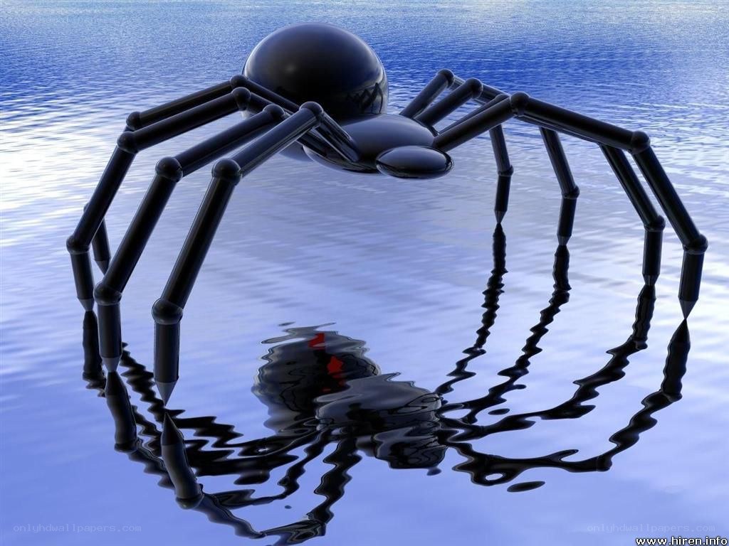 Black spider on water