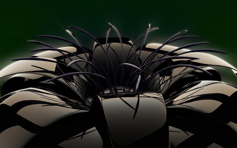 Black Spiky Flower — Dramatic