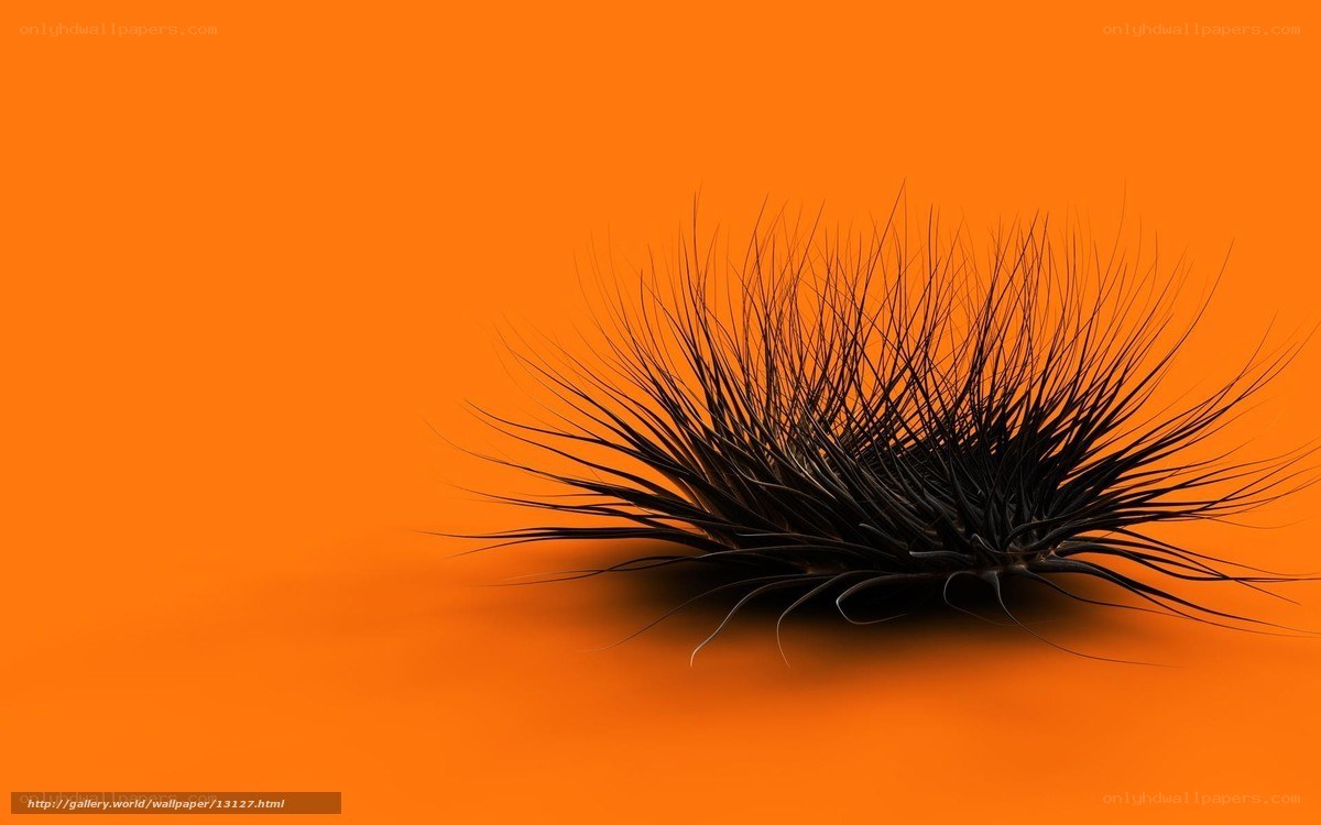 black spiky object on orange